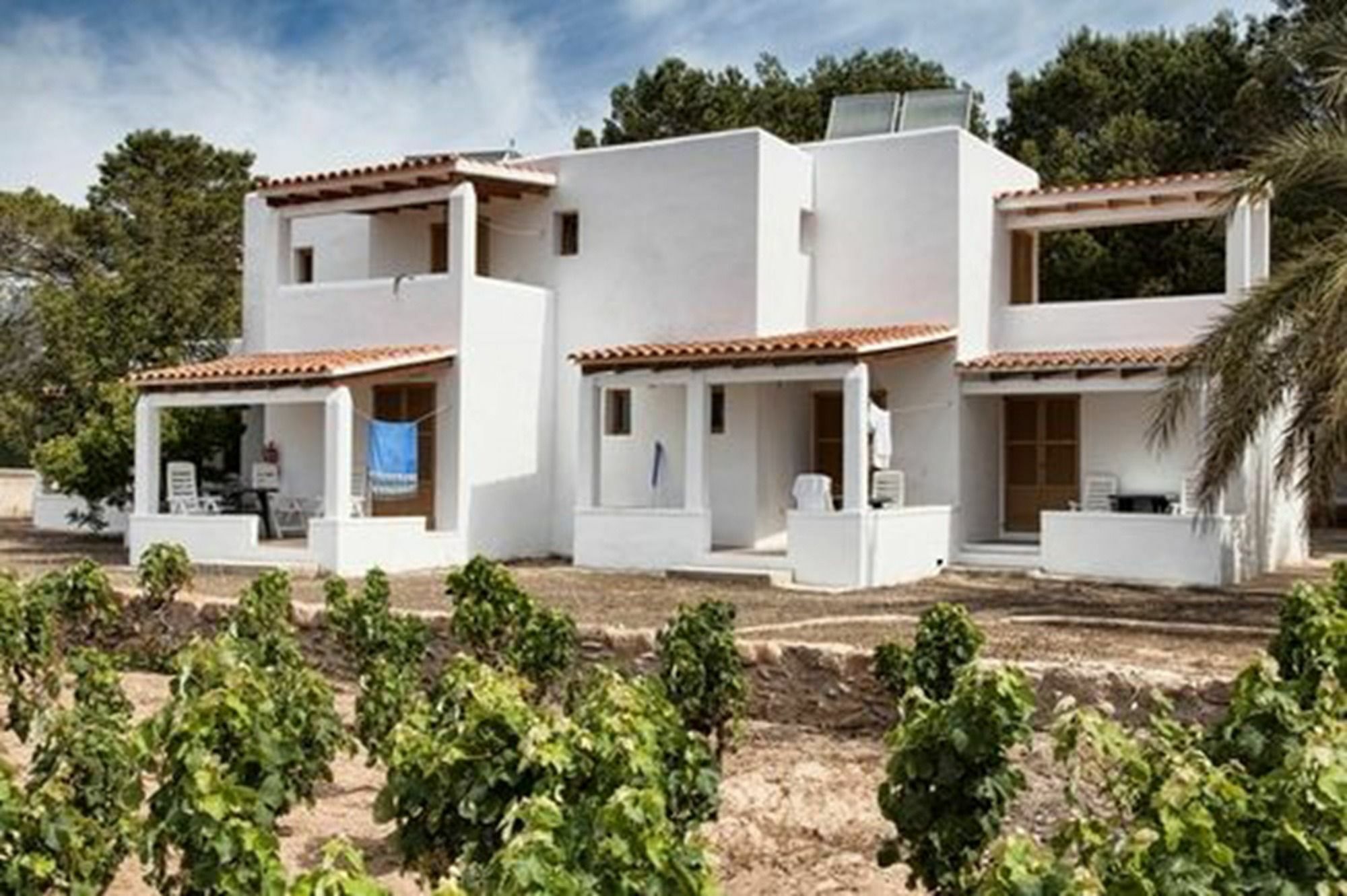 Bungalows Es Pins - Emar Hotels Playa Migjorn Exterior foto